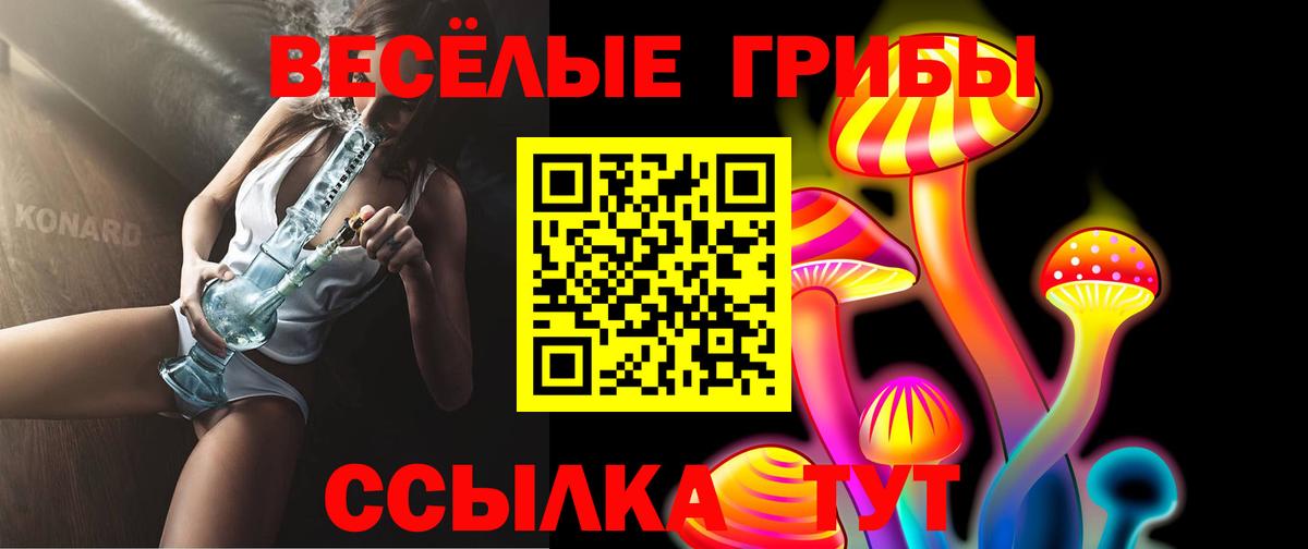 Галлюциногенные грибы MAGIC MUSHROOMS  Вход с VPN  Галлюциногенные грибы MAGIC MUSHROOMS  Новочебоксарск 